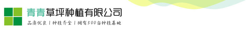 ag电游网址